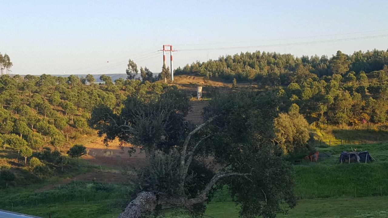 Constância Quinta Do Caneiro - Casa Turismo Rural מראה חיצוני תמונה